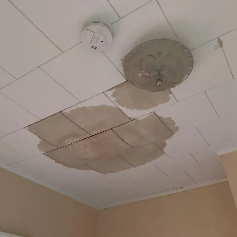 Ceiling Water Damage Repair in Jeannette, PA