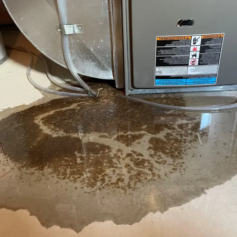 Pipe Burst and Leak Restoration in Jeannette, PA