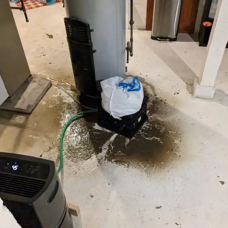 Sewage Backup Cleanup Service in Jeannette, PA
